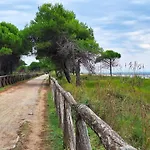 Need To Relax In Апартаменты Бибионе